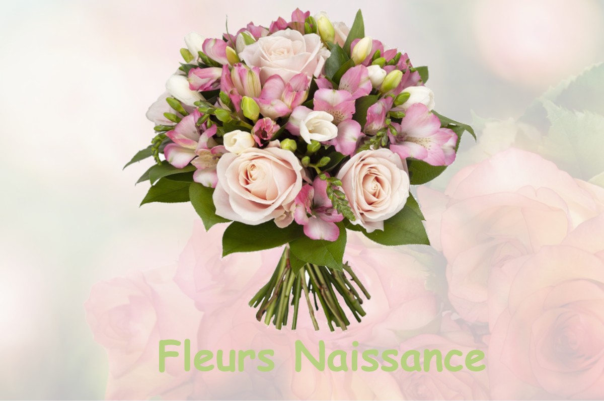 fleurs naissance PEISEY-NANCROIX